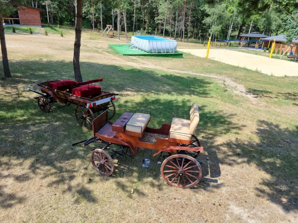 Domki Wrzosowe Wzgorza Nr2 Horyniec Exterior foto